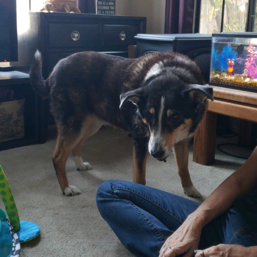 Meet your Posher, Suzette